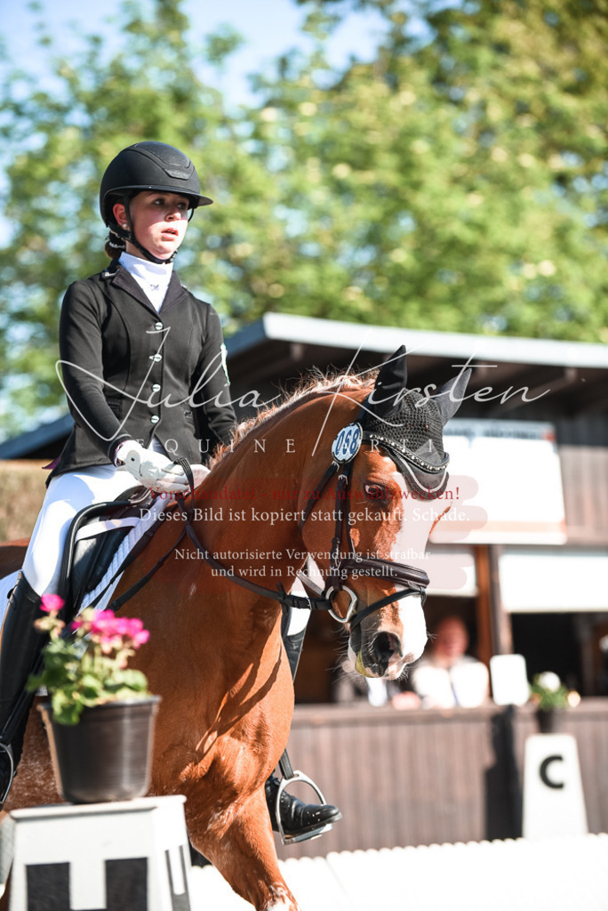 DSC_8265 | Pferde- und Turnierfotografie in Westsachsen. Pferdeportraits, Auftragszeichnungen und intuitive Kunst.