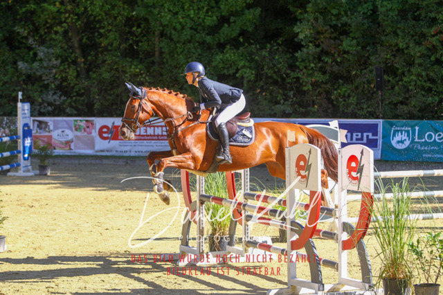 DKP42931 | Turniersportfotografie; Pferdefotografie; Dressurfotografie