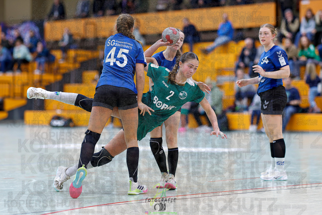 Jugenbundesliga wJB; HSG Kleenheim/Langgöns - SG Kappelwindeck/Steinbach | Jugenbundesliga wJB; HSG Kleenheim/Langgöns - SG Kappelwindeck/Steinbach am 23.11.2025 in Oberkleen (Weidig-Halle)Photo © 2025 - Jörg Heinrich - Realisiert mit Pictrs.com