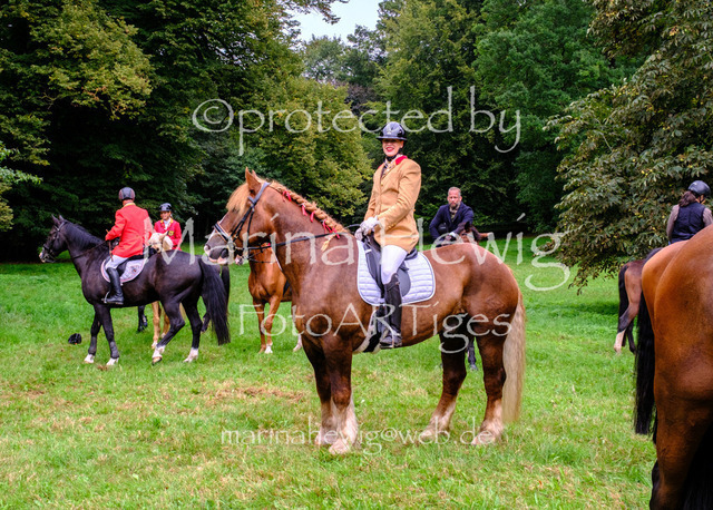 Jagd Perdoel 26 Fuji-9717_MarinaHewig | Fotografie, FotoArt, PferdesportArt, Pferdesportfotografie, Landschaftsfotografie, Reisefotografie, Reise, Pferde - Realisiert mit Pictrs.com