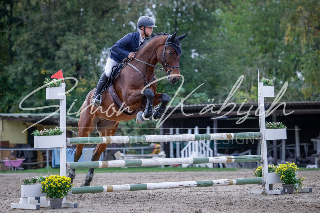 20251012-_3LI5256 | Tierfotografie Pferde, Hunde, Katzen, Haustiere.
Turnierfotografie Reitturniere, Reiten, Springreiten, Dressur in Hanau, dem Main-Kinzig-Kreis und dem Rhein-Main- Gebiet um Frankfurt