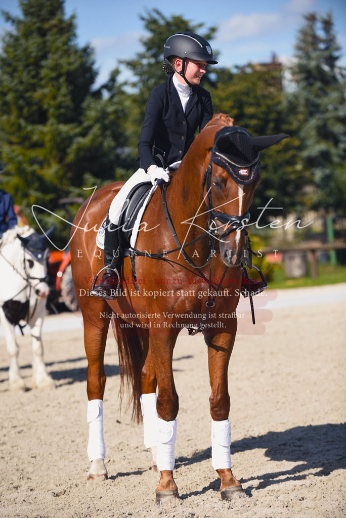 DSC_0183 | Pferde- und Turnierfotografie in Westsachsen. Pferdeportraits, Auftragszeichnungen und intuitive Kunst.