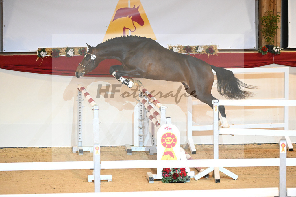 Kat-Nr. 18 Del Arko d Henvet_Mueller-Schwender_1230877 | hf-fotografie - Realizzato con Pictrs.com