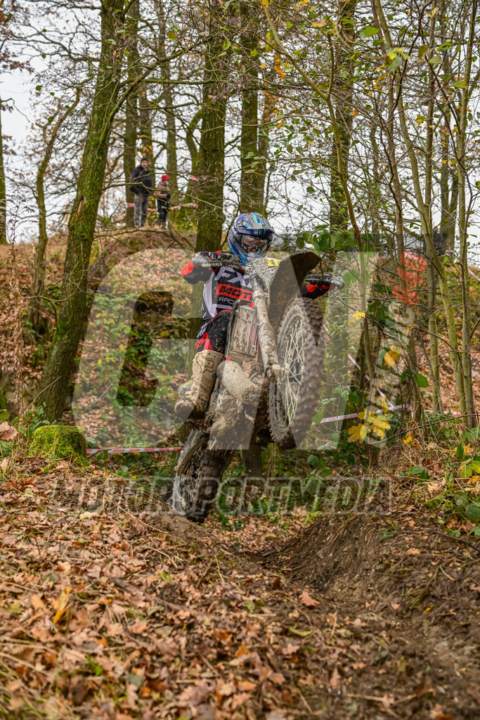 NZ8_4782 | grenznic640