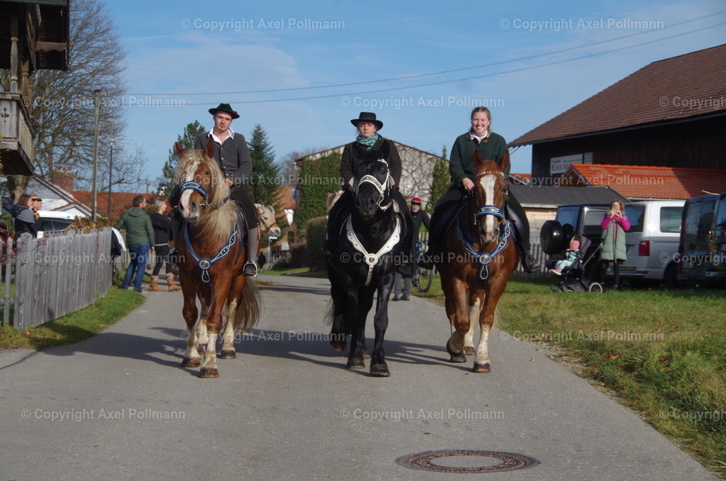 IMGP1585 | fotografiert von Axel PollmannLeonhardi Wallfahrt Benediktbeuern und Murnau, Fronleichnam, Fasching, Landschaft im Loisachtal und Benediktbeuern  - Realisiert mit Pictrs.com