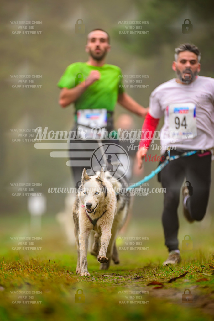 MompixPhotography_Bischwiller2025_Canicross-51 | mompixphotography