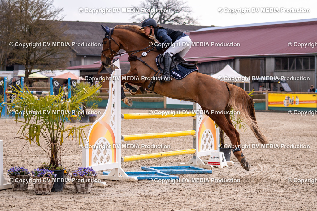 Kranichstein Tag 2-1680 | dv-media-shop - Realisiert mit Pictrs.com