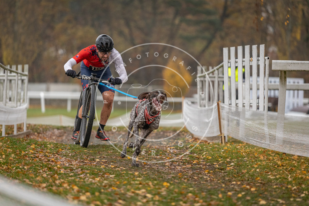 CaniXpix_DV3A7485 | Hundefotografie, Tierfotograf, Pfotenfotografie, Fotoshooting Hund, Hunde Portrait, Hundesport, Hundeportraits, Heideshooting, Hunde, Sportfotograf, Hundefotograf, Turnierhundsport, THS,  - Realisiert mit Pictrs.com