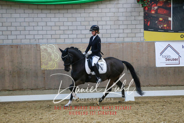 IMG_2802 | Turnierfotos kaufen im Webshop von Daniel Kuhl Photography – entdecke professionelle Reitsportfotos aus Turnieren & Events. Hochwertige Turnierbilder online bestellen & sichern. Jetzt Fotos von Reitsportturnieren kaufen!