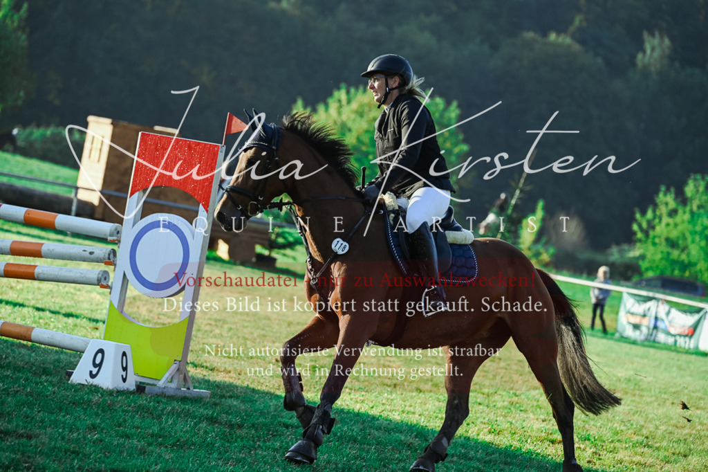 DSC_3907 | Pferde- und Turnierfotografie in Westsachsen. Pferdeportraits, Auftragszeichnungen und intuitive Kunst.