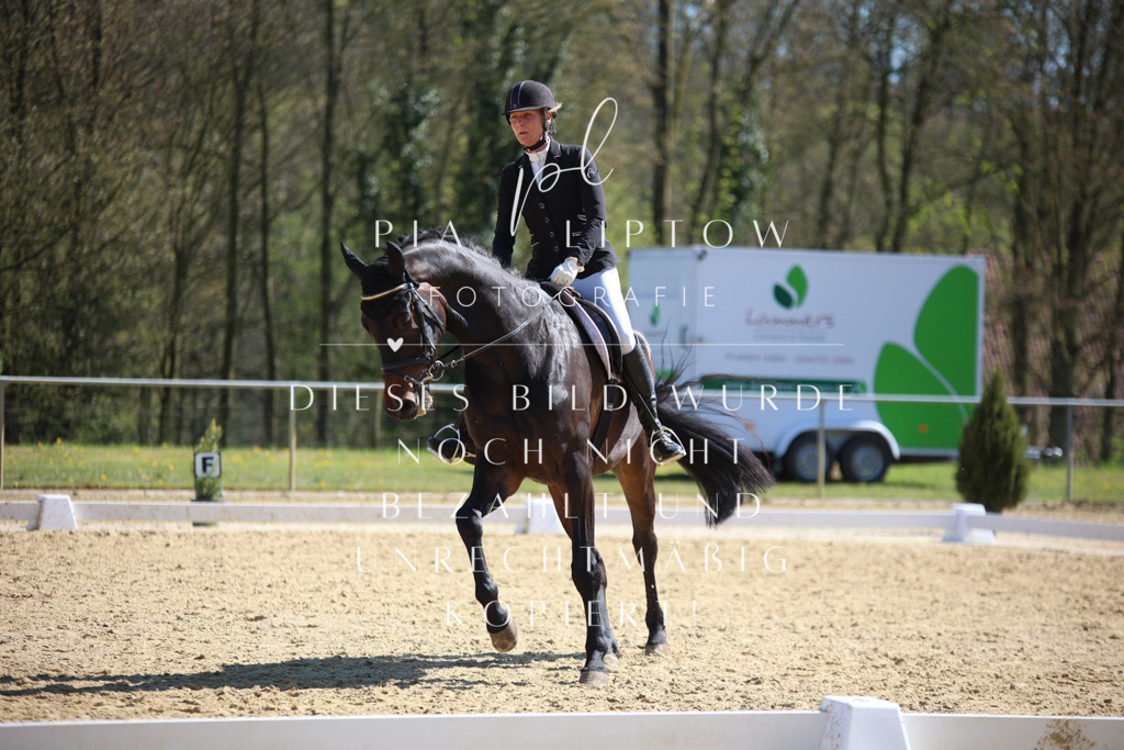 IMGT8147 | pl-fotografie