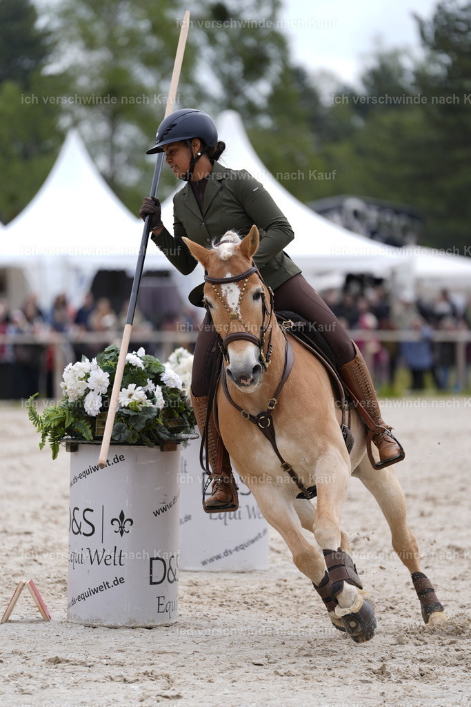 PI26_SP_Stoibphotography_DSC1895.JPG | working equitationturnier fotograf videograf stoibphotography marixx film working equitation deutschland reitsport turnierfotografie eventfotografie equestrian events