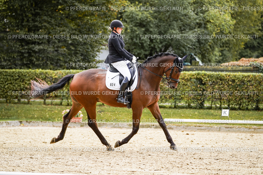 DSC09057 | Pferdegrafie