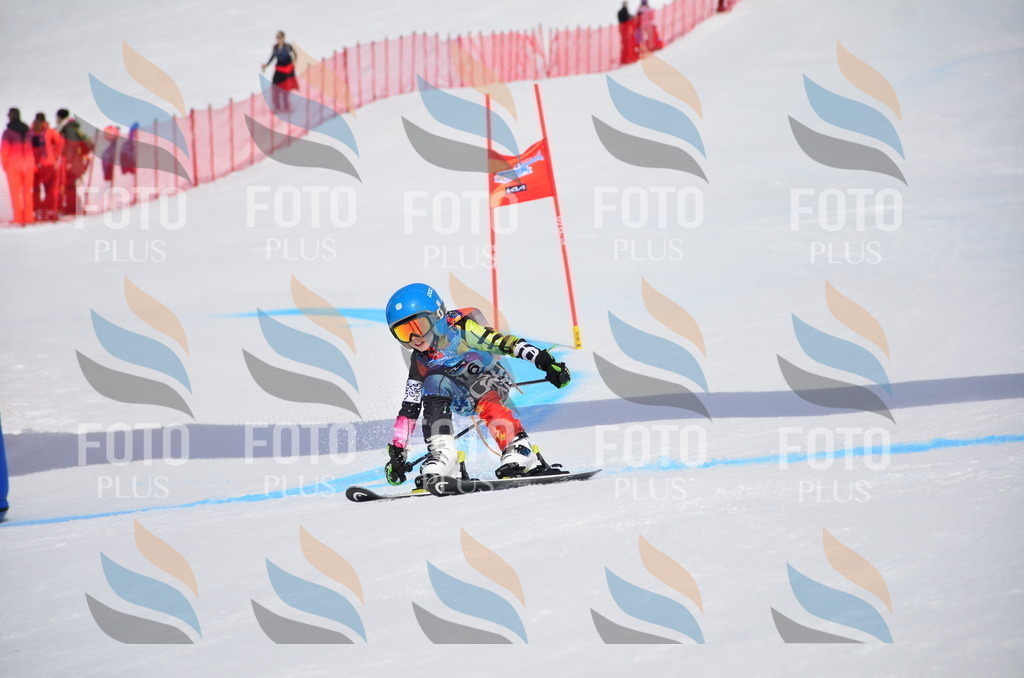 VR4_7154 | holidayphoto