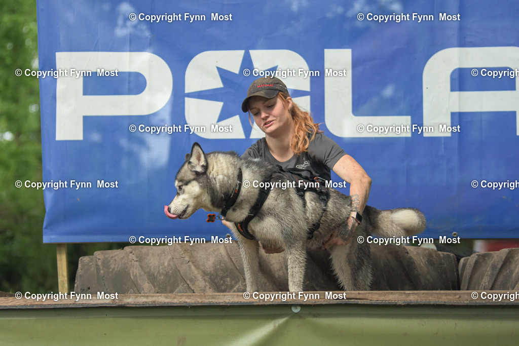 DSC_0854 | Hallo und herzlich Willkommen auf meiner Shop-Seite Fynn Most.

Ich wünsche Dir viel Spaß beim stöbern durch die Bilder, wenn Du Fragen hast oder Bilder vermisst, kannst du mir gerne eine Nachricht schreiben. - Realisiert mit Pictrs.com