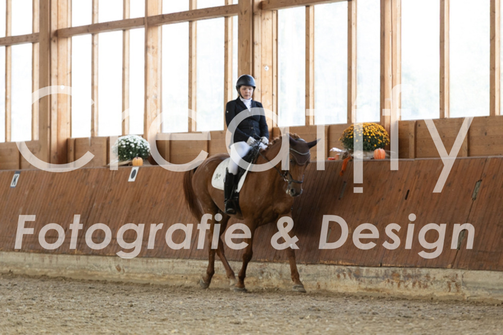 IMG_5781 | Creatify Fotografie