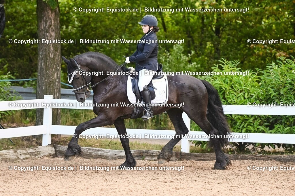 20230716_04_Dressurreiterprüfung Kl.A_0387 | equistock