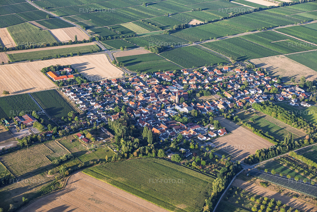 Luftbild: Dorfansicht aus Nordosten in Großfischlingen im Bundesland Rheinland-Pfalz in Deutschland. – Foto: IMG_158521.jpg vom 07.08.2026 durch Werner Riehm/FLY-FOTO.de – Auflösung des Originals: 6000 x 4000 px