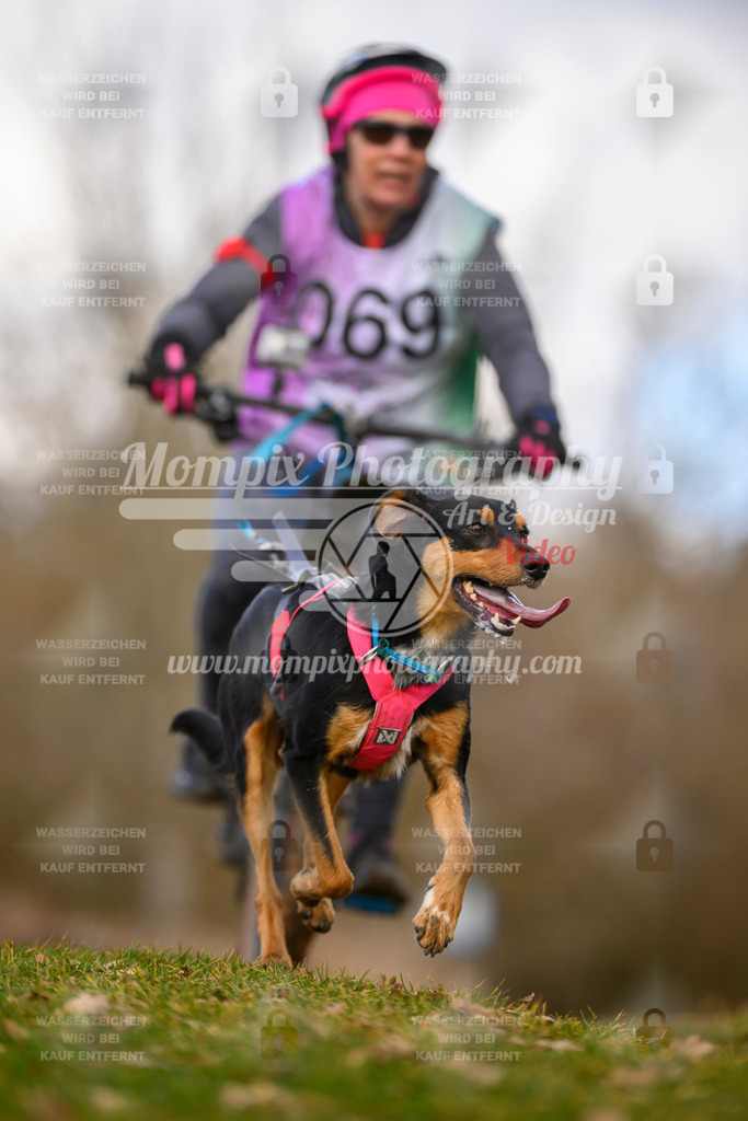 MompixPhotography_10Schwabentrail2026_SO_Bike-94 | PayLife