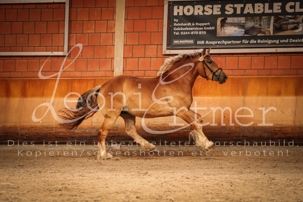 SaFL00176 | Leoni Ertmer Photography - Realisiert mit Pictrs.com