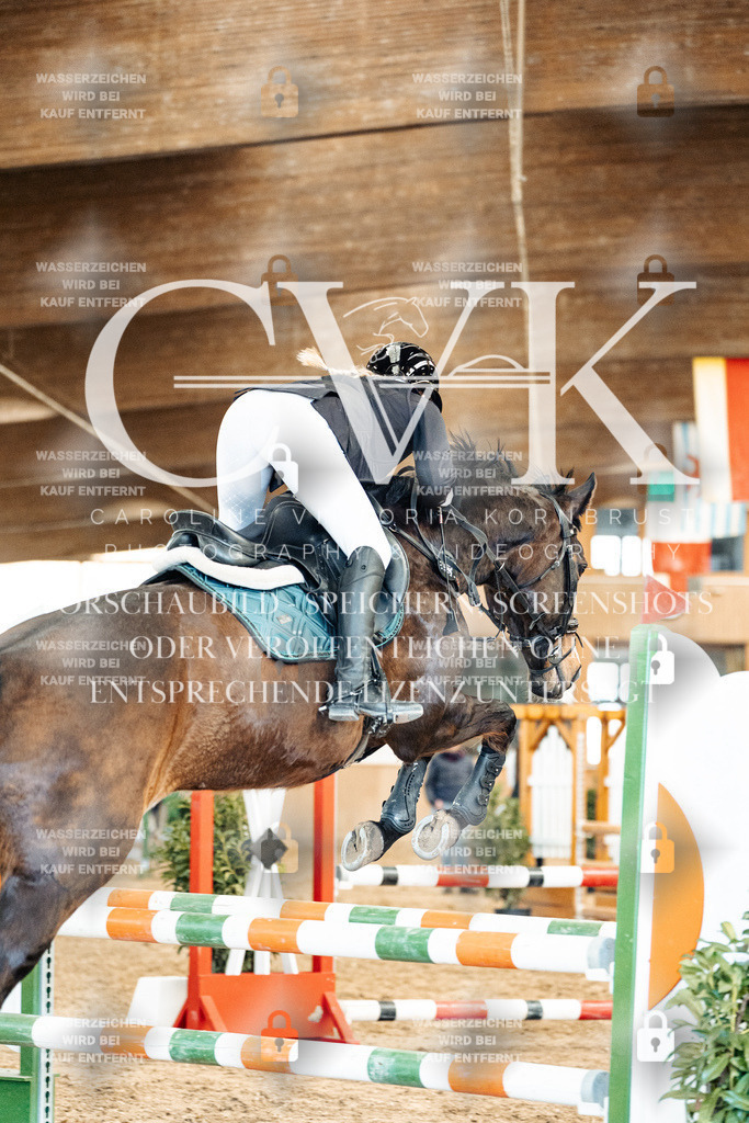 CK905349 | Turnierfotografie Pferdefotografie Trier Rheinland-Pfalz Pferdesport Reitsport Tierfotografie Sportfotografie Pferdevideo Pferdevideografie Equestrianvideography equestrianphotography  - Realized with Pictrs.com