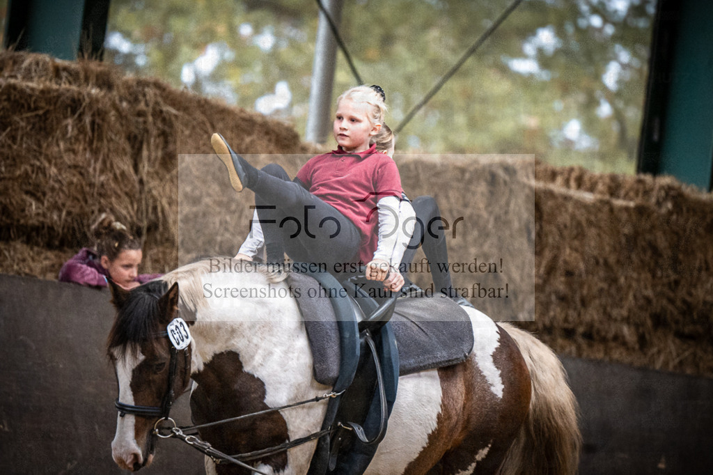 DOS_0308 | Entdecke hochwertige Reitturnierfotos von Foto Oger. Professionell, emotional und authentisch – jetzt Lieblingsmomente im Shop bestellen.Deutschlandweite Turnierfotografie. - Realisiert mit Pictrs.com