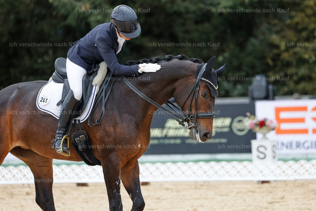 3-241-Dressur M_-StoibPH-2352 | working equitationturnier fotograf videograf stoibphotography marixx film working equitation deutschland reitsport turnierfotografie eventfotografie equestrian events