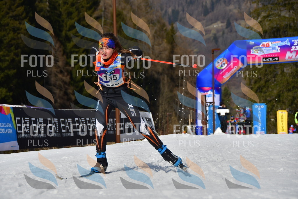 _DSC0012 | holidayphoto