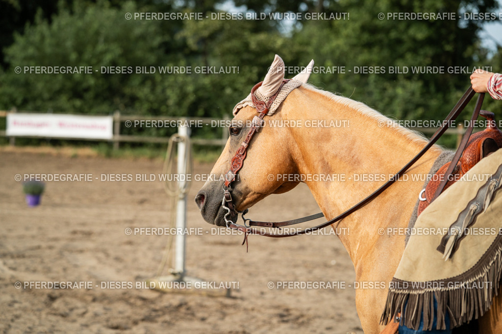 DSC06104 | Pferdegrafie