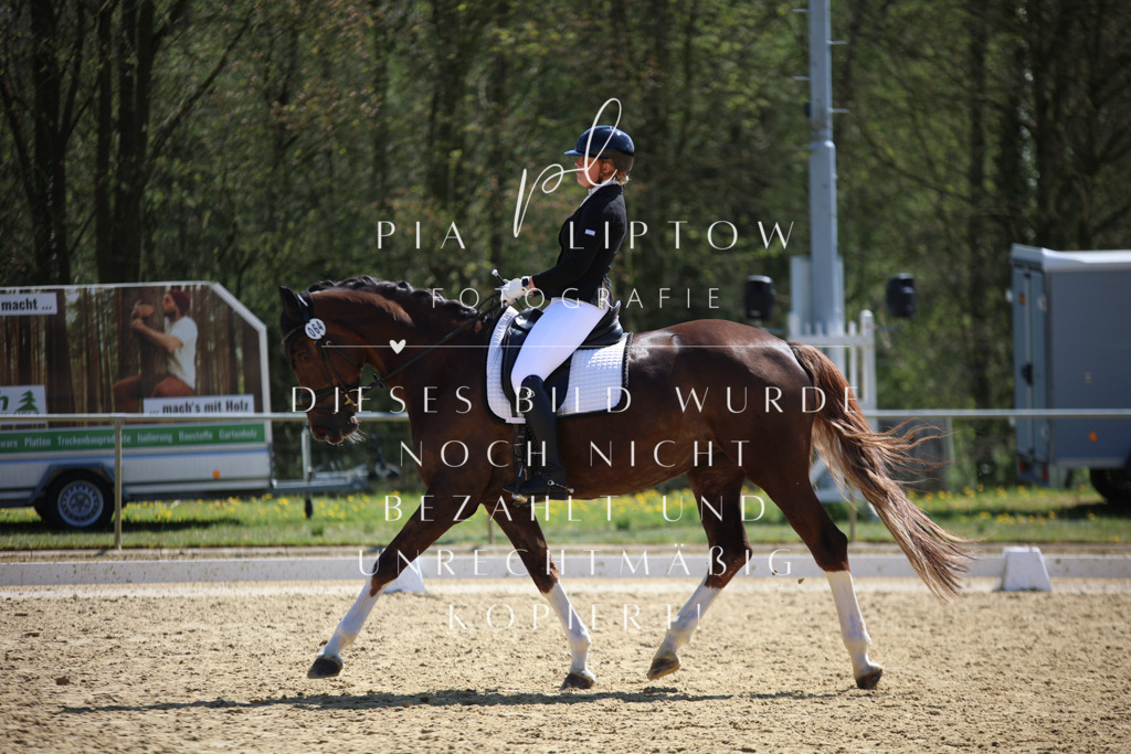 IMGT2554 | pl-fotografie