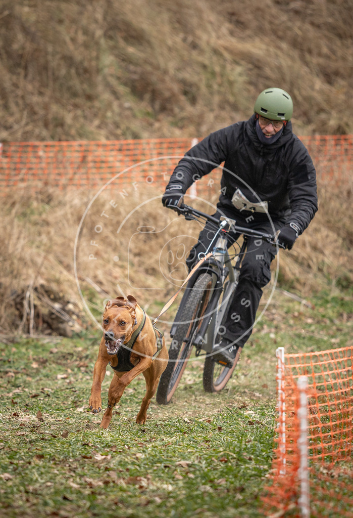 Pfotenfotografie_DV3A6807 | Hundefotografie, Tierfotograf, Pfotenfotografie, Fotoshooting Hund, Hunde Portrait, Hundesport, Hundeportraits, Heideshooting, Hunde, Sportfotograf, Hundefotograf, Turnierhundsport, THS,  - Realisiert mit Pictrs.com