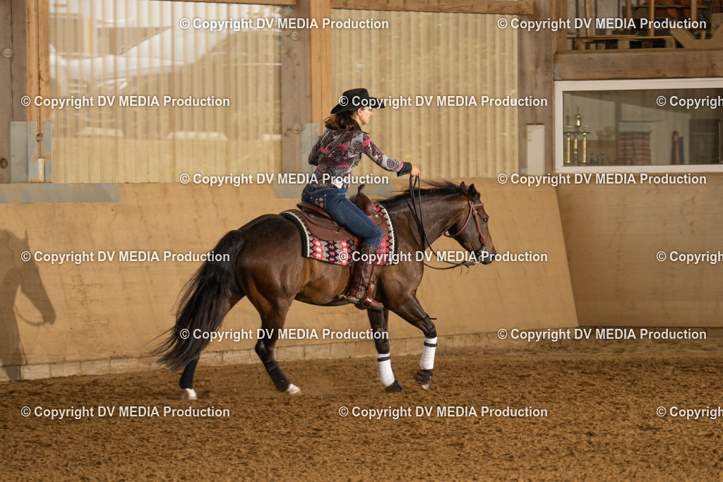 LAU00713 | dv-media-shop - Realisiert mit Pictrs.com