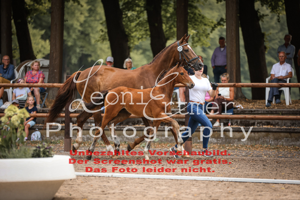 SaFohlen00226 | Leoni Ertmer Photography - Realisiert mit Pictrs.com
