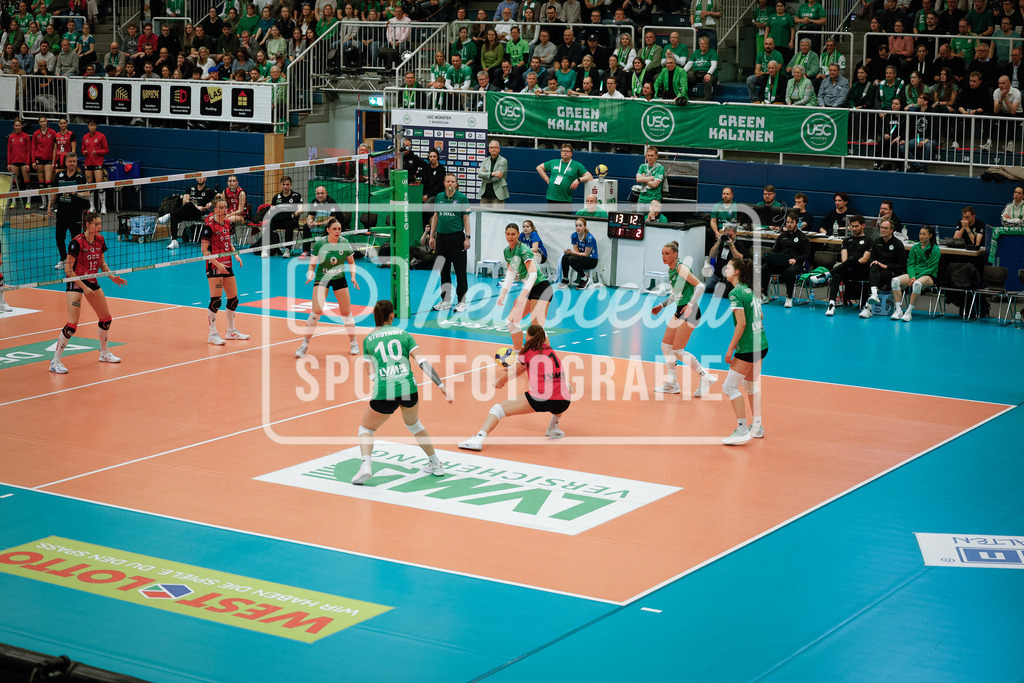 Volleyball I Frauen I Saison 2025-2026 I Bundesliga I Playoff-Viertelfinale 2 I USC Münster - Dresdner SC-89 | realhellocedii - Realisiert mit Pictrs.com