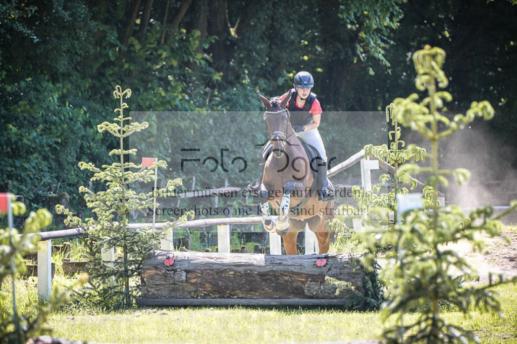 DOS_5517 | Entdecke hochwertige Reitturnierfotos von Foto Oger. Professionell, emotional und authentisch – jetzt Lieblingsmomente im Shop bestellen.Deutschlandweite Turnierfotografie. - Realisiert mit Pictrs.com