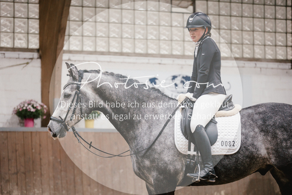 3I6A6083 | Stimmungsvolle Portraits und Reitsportfotografie im Ruhrgebiet und im Münsterland.

Pferdefotografie, Hundefotografie, Tierfotografie, Reportagen, Portraits von Tier und Mensch, Turnierfotografie in Bochum, Recklinghausen, Marl, Haltern am See, Dülmen.. - Realisiert mit Pictrs.com