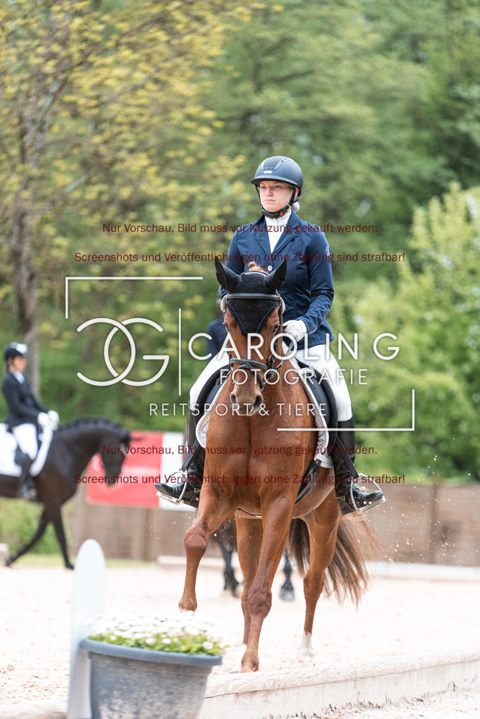 DSC_6883 | Turnierfotografin Carolin Gieschke,Reitsport Turnierfotografie Carolin G Fotografie | Turnierfotos aus Kirchheim/Teck, Esslingen, Stuttgart und dem Bodenseekreis