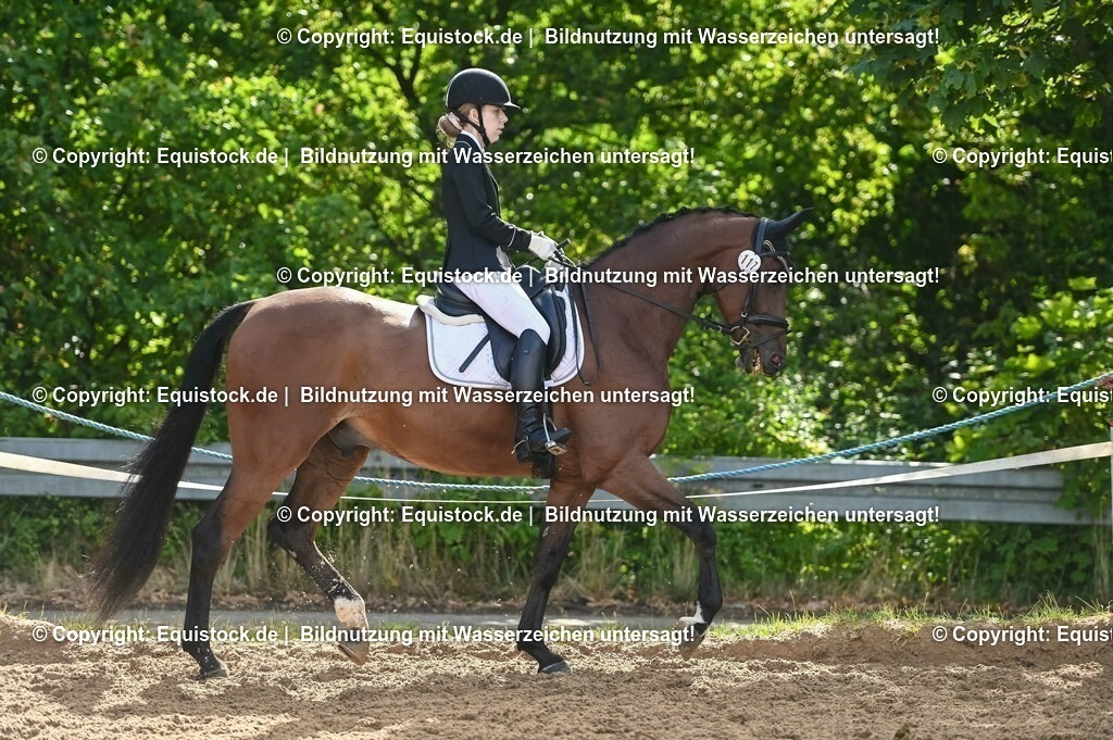 20230716_04_Dressurreiterprüfung Kl.A_0212 | equistock