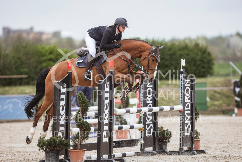 250417_Springpferde-A1-113 | Deine schönsten Turniermomente als professionelle Fotos! Entdecke hochwertige Pferdesport-Fotografie im Online-Shop. Jetzt Fotos finden & bestellen!