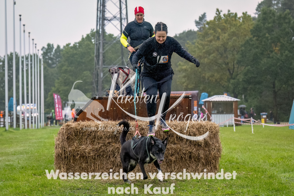 1006--11 | kk-dogfotos