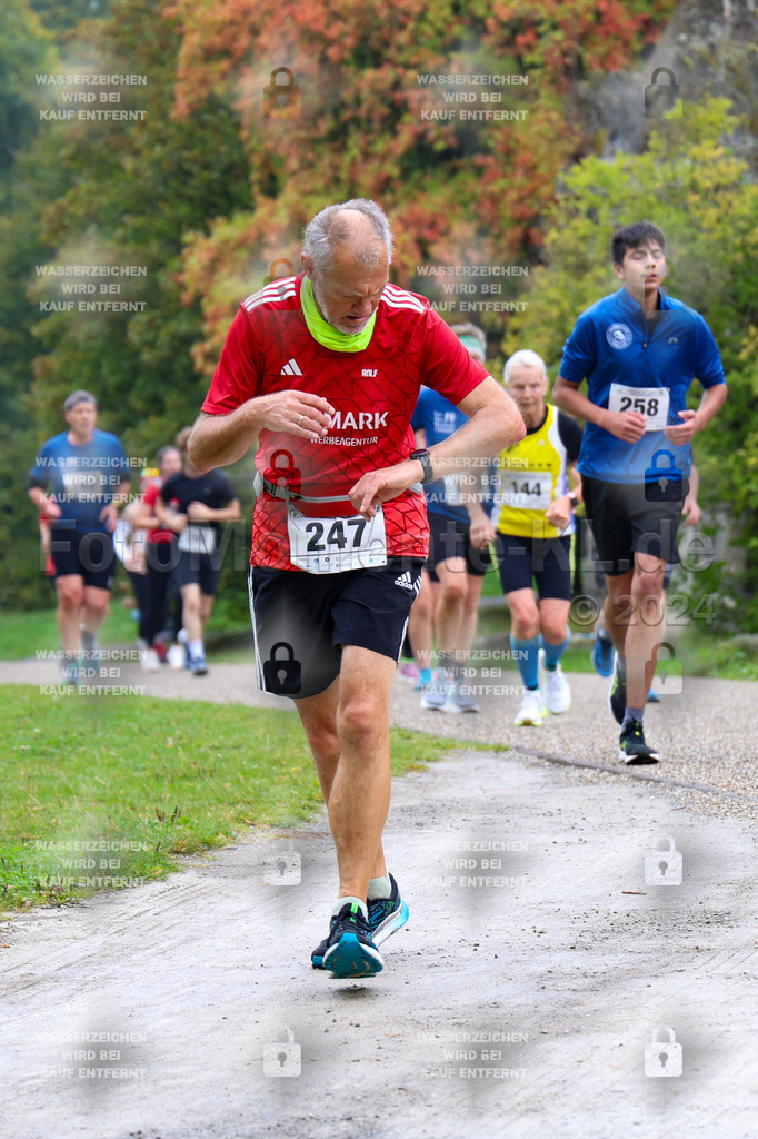 R6_ (336) | la-psv - Realisiert mit Pictrs.com