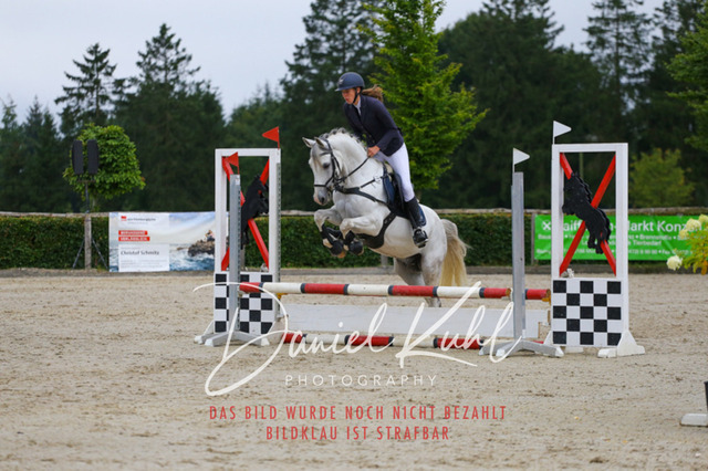 IMG_4872 | Turniersportfotografie; Pferdefotografie; Dressurfotografie