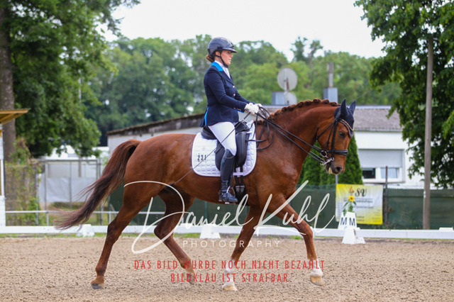 DKP40804 | Turniersportfotografie; Pferdefotografie; Dressurfotografie