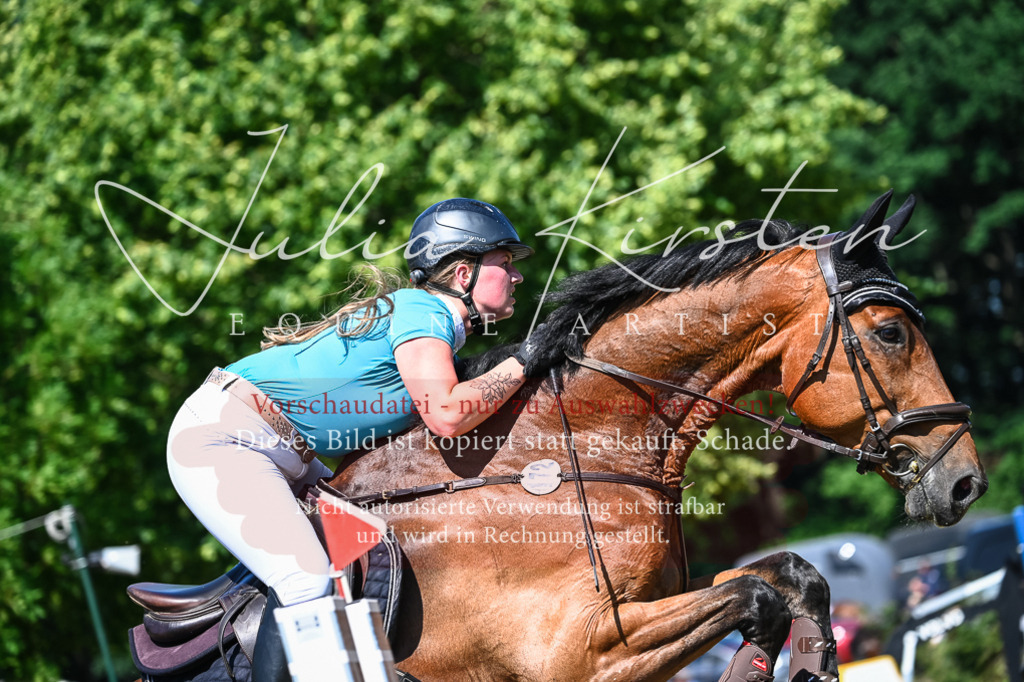 DSC_1515 | Pferde- und Turnierfotografie in Westsachsen. Pferdeportraits, Auftragszeichnungen und intuitive Kunst.