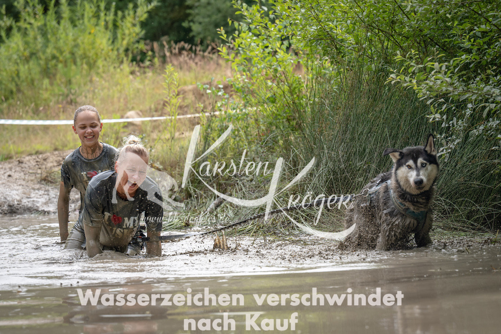 1458_ZZ94593-Bearbeitet | kk-dogfotos