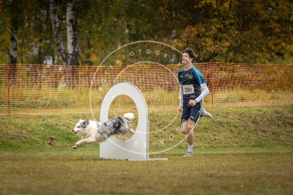 Pfotenfotografie_DV3A1558 | Hundefotografie, Tierfotograf, Pfotenfotografie, Fotoshooting Hund, Hunde Portrait, Hundesport, Hundeportraits, Heideshooting, Hunde, Sportfotograf, Hundefotograf, Turnierhundsport, THS,  - Realisiert mit Pictrs.com