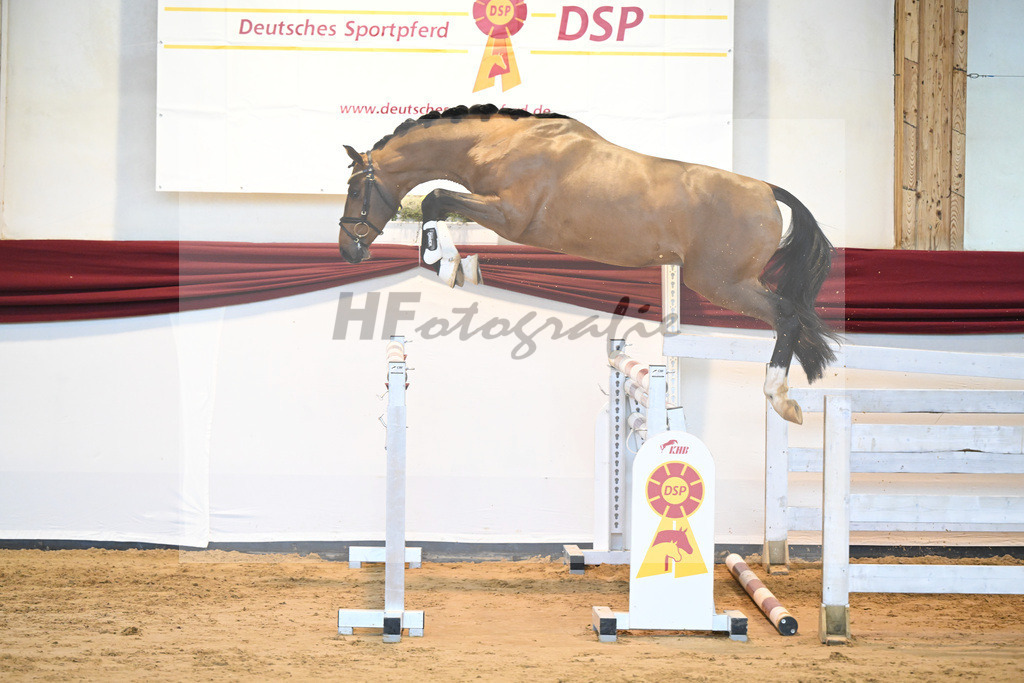 Kat-Nr. 62 v. Asti Spumante_Muehlbauer_66221413 | hf-fotografie - Realisiert mit Pictrs.com