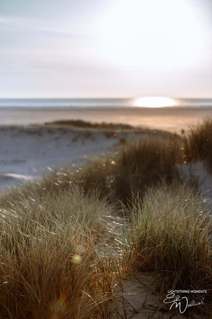 20240508-200447 NORDSEE SPO _321-1 | Herzlich willkommen auf meiner Seite! Ich bin Elke Wallnisch, Deine Fotografin für lichtstarke Momente. Der Name steht für alles, was mich mit der Fotografie verbindet: Das Licht und seine machtvolle Wirkung auf eine Situation oder unsere Stimmung - Realisiert mit Pictrs.com