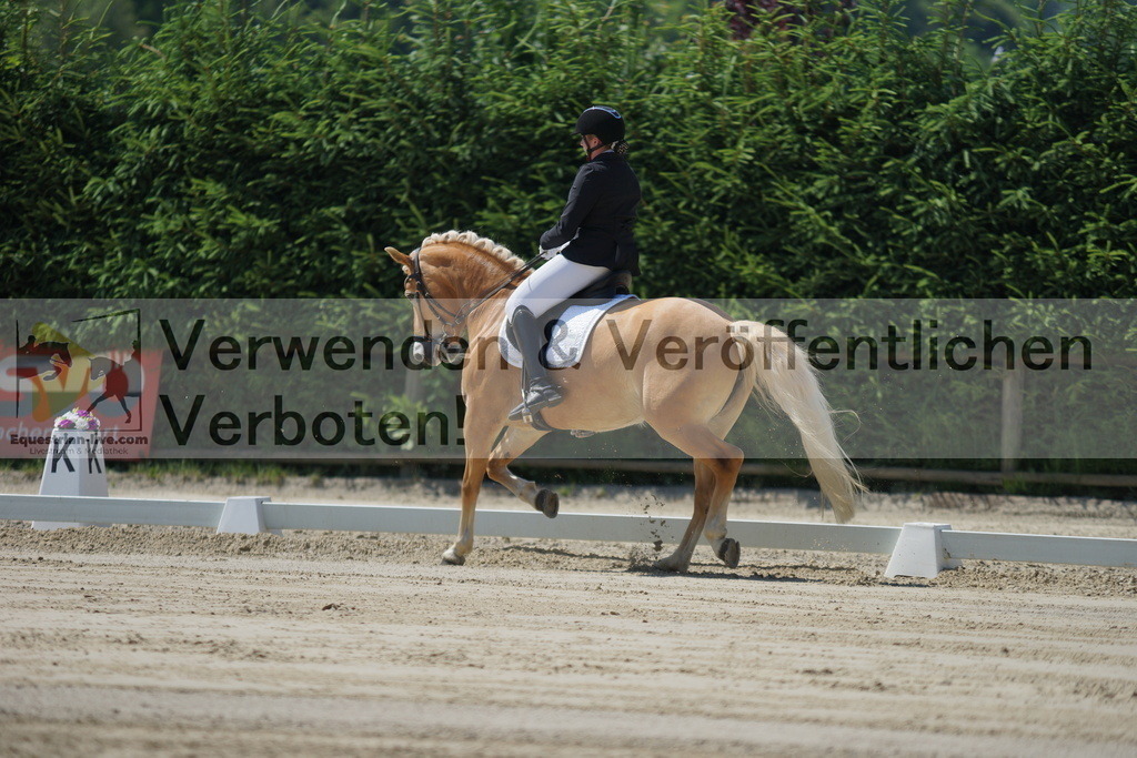 DSC02220 | equestrian-live-com