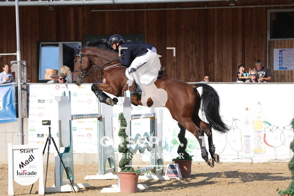 0P6A8001 | Willkommen bei Brunnmayr - Design & Fotografie – Ihrem Spezialisten für Reitturniere und Pferdeveranstaltungen in Oberösterreich, Salzburg und Bayern! Seit über 17 Jahren sind wir leidenschaftlich dabei.